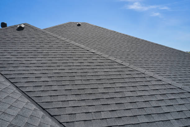 Best Roof Moss and Algae Removal  in Crozet, VA